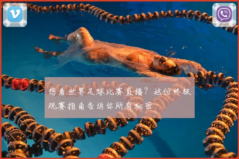 想看世界足球比赛直播?这份终极观赛指南告诉你所有秘密