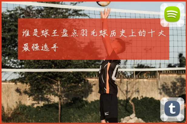 谁是球王盘点羽毛球历史上的十大最强选手
